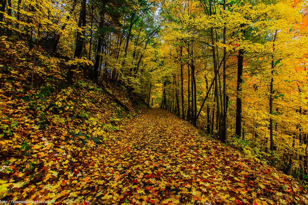 mohonk undercliff carriage road